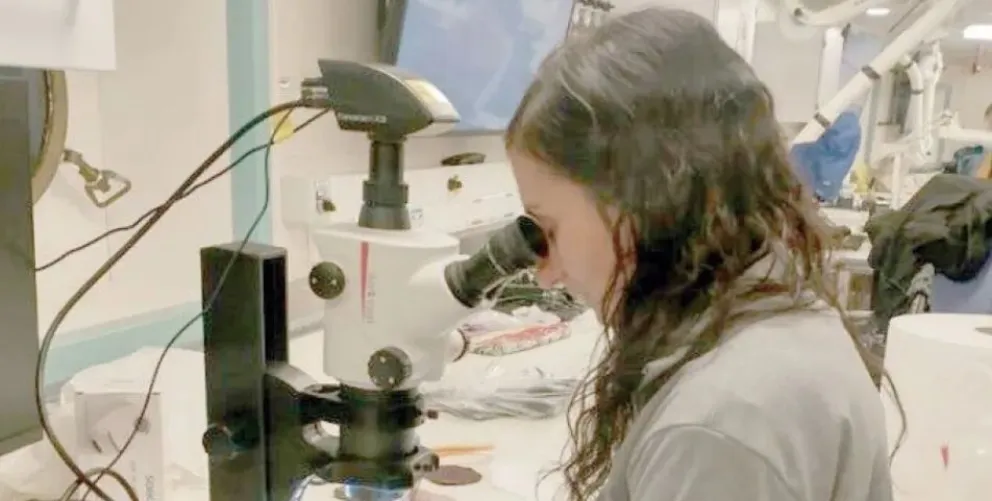 Misiones participa en innovador estudio genético de caracoles venenosos del océano argentino