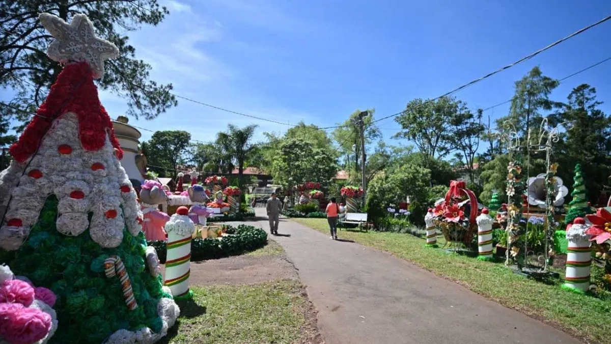 Alem. Fiesta Nacional de la Navidad del Litoral