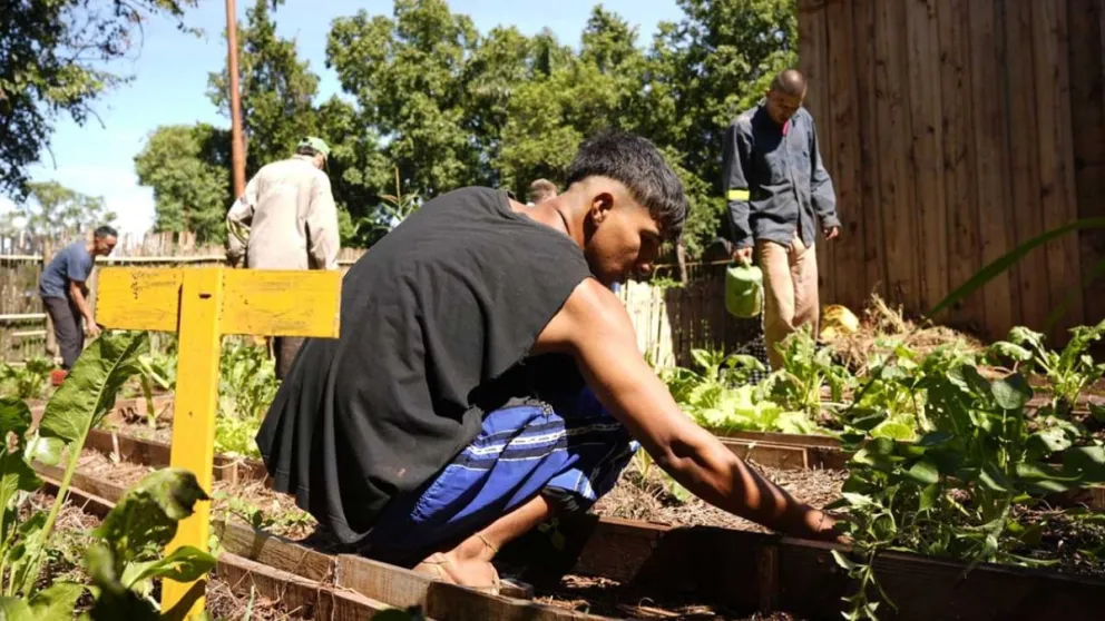 La huerta de la Casita San Miguel, del Hogar de Cristo, va dando sus frutos. Foto: Marcelo Rodríguez 