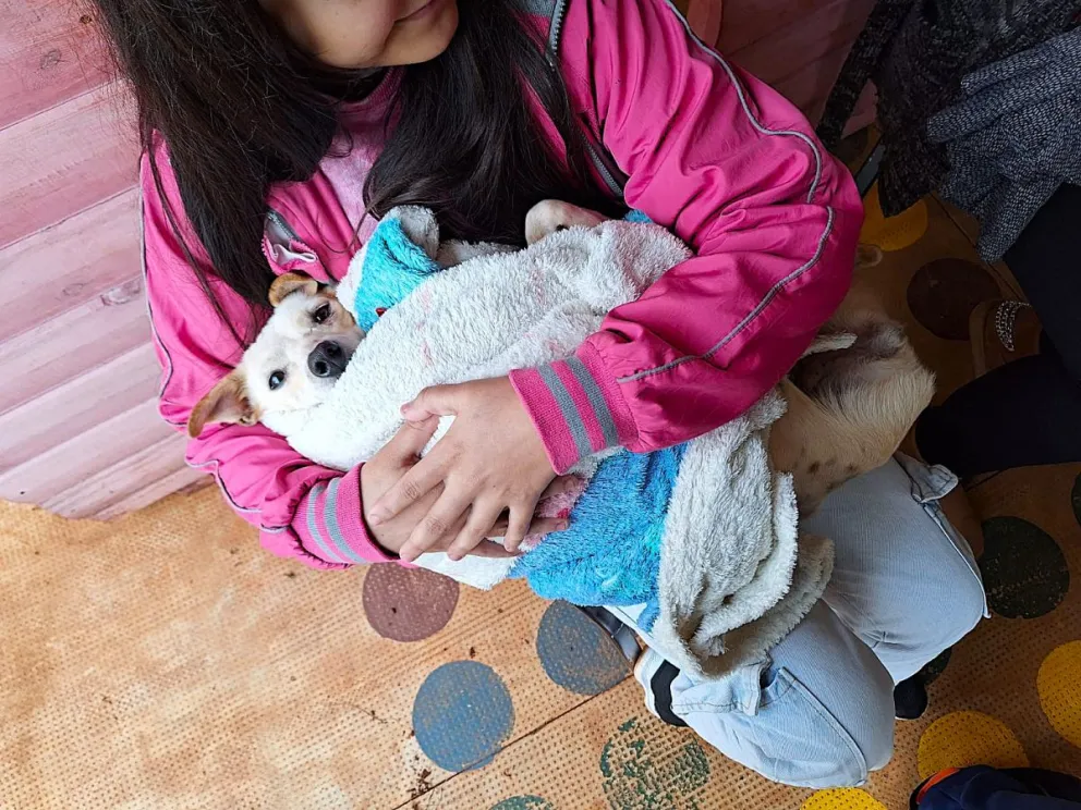 Las castraciones se hacen a bajo costo gracias al aporte y rifas que organiza la protectora. //Foto: Patitas Felices.