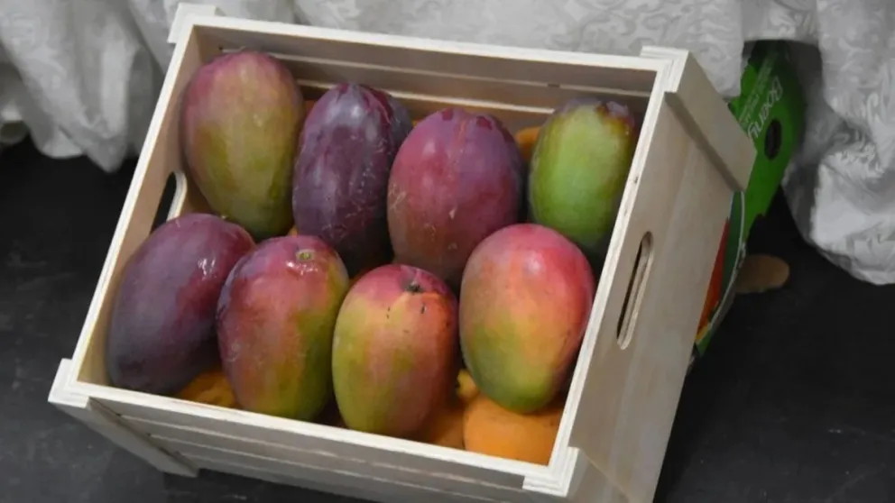 El mango de la variedad Tommy Atkings empezó a crecer en producción en las provincias del Norte argentino y destaca por su gran tamaño.