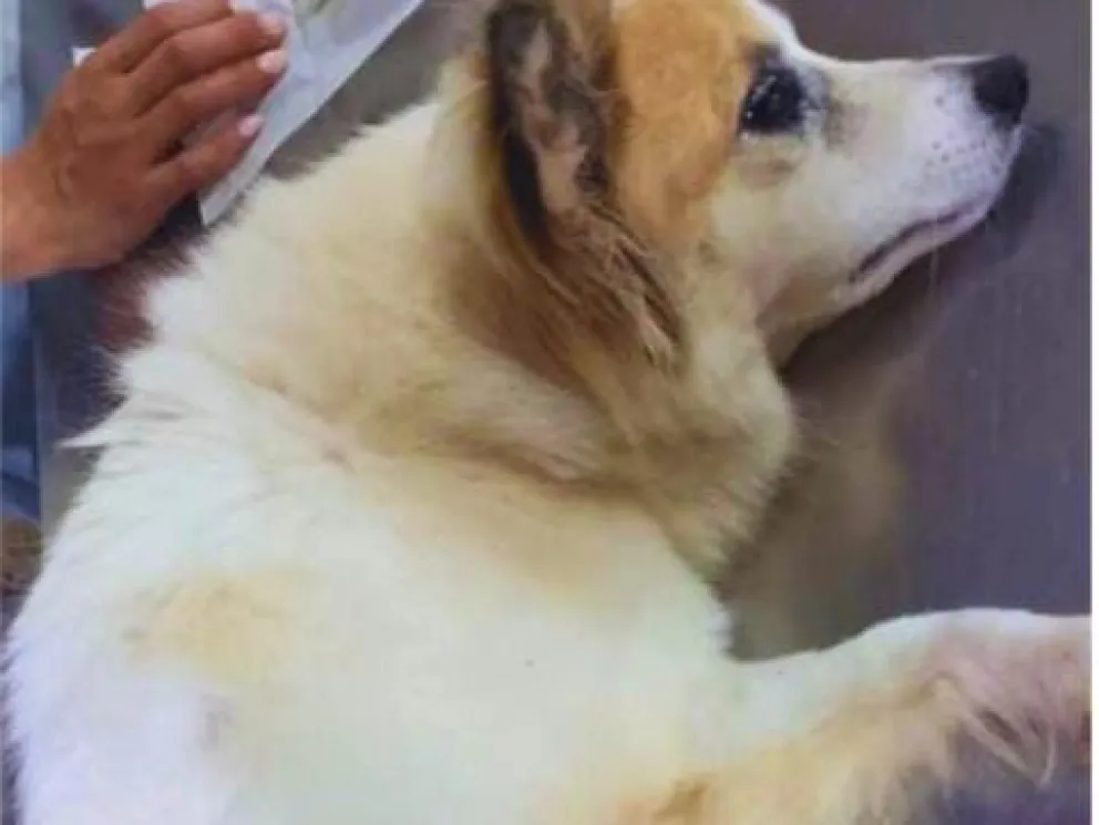 Foto: Mercedes Berón.