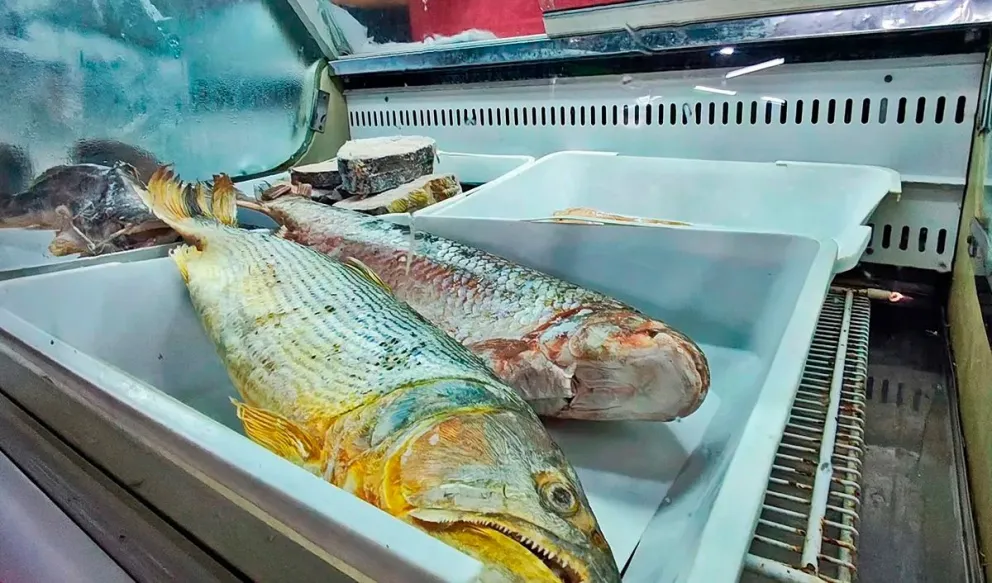 Se trata de una carne que no sufriría aumentos constantes como la vacuna.