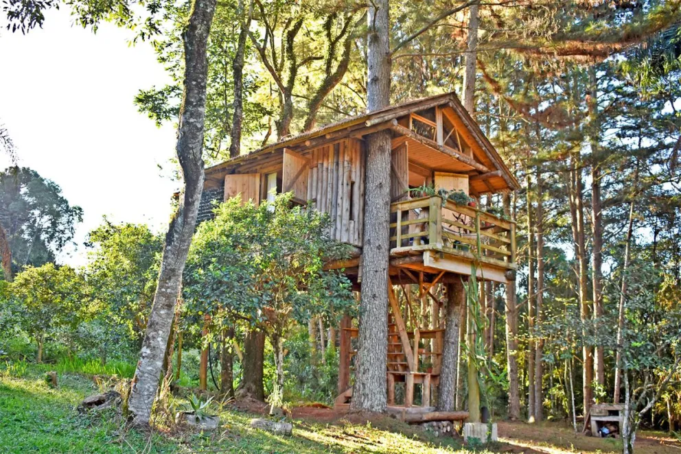 Las cabañas en los árboles ofrecen un llamativo modo de pernoctar. Foto: C. Martínez