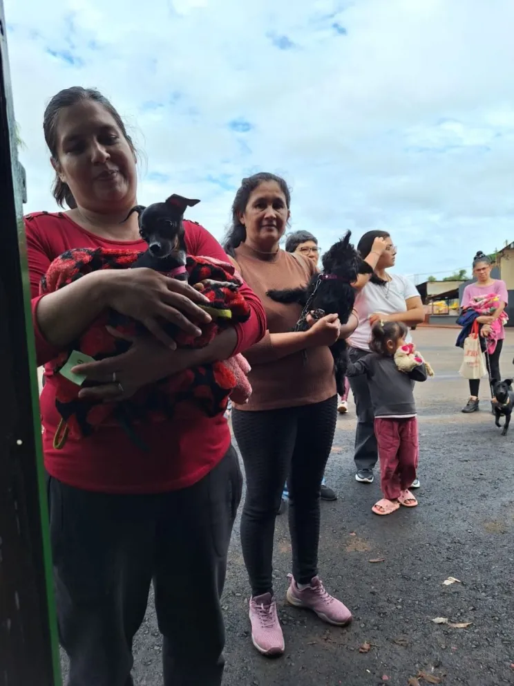 Para más información el contacto de Patitas Felices es el 3755-436356.