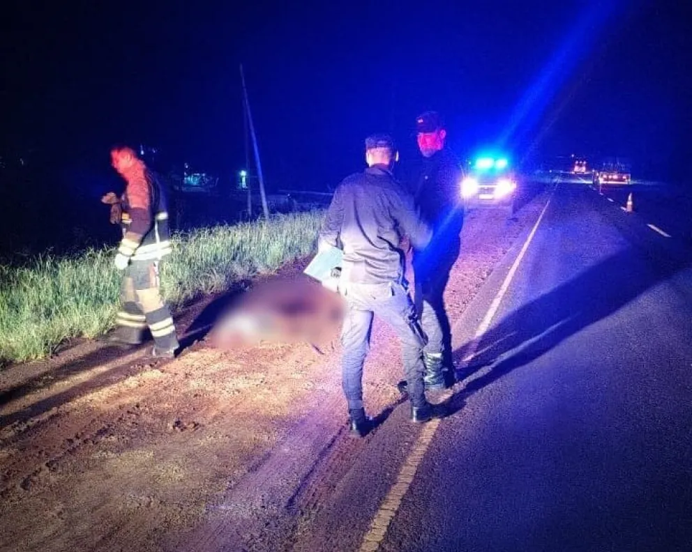 Falleció un peatón tras ser embestido en la ruta nacional 12 | El ...