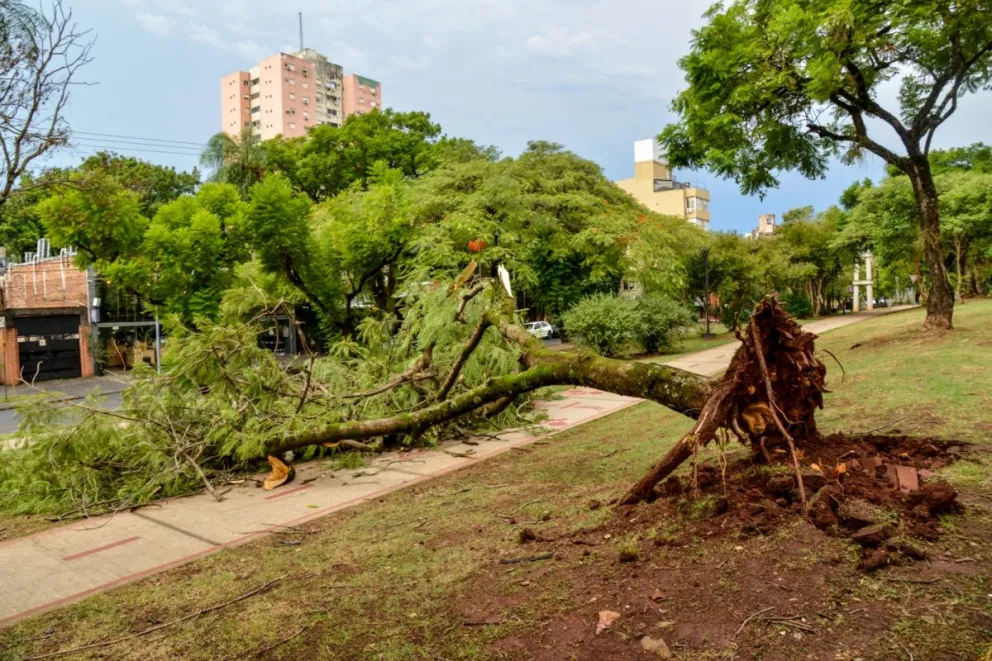 Foto: Jorge Acosta