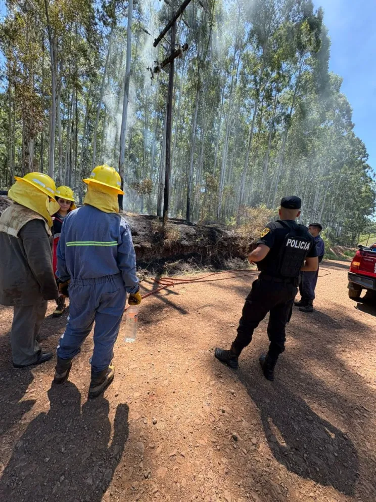 Foto: Policía de Misiones.