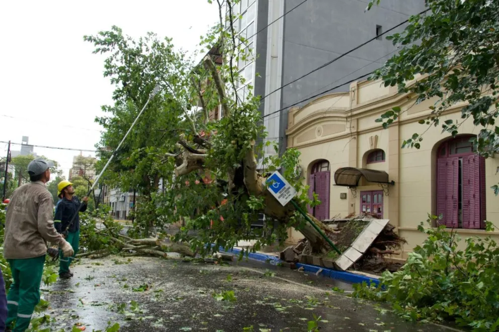 El centro posadeño fue fuertemente afectado. Fotos: Agustina Vera