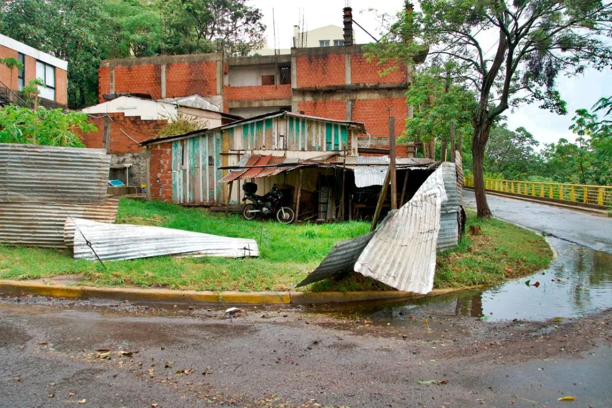 Temporal provocó caída de árboles y voladuras de techos en Posadas imagen-8