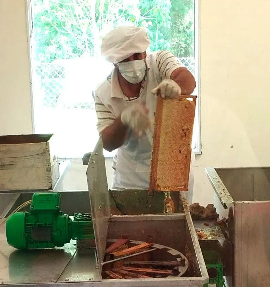 El contraste que sostiene el cruce de misioneros para trabajar en Brasil imagen-16