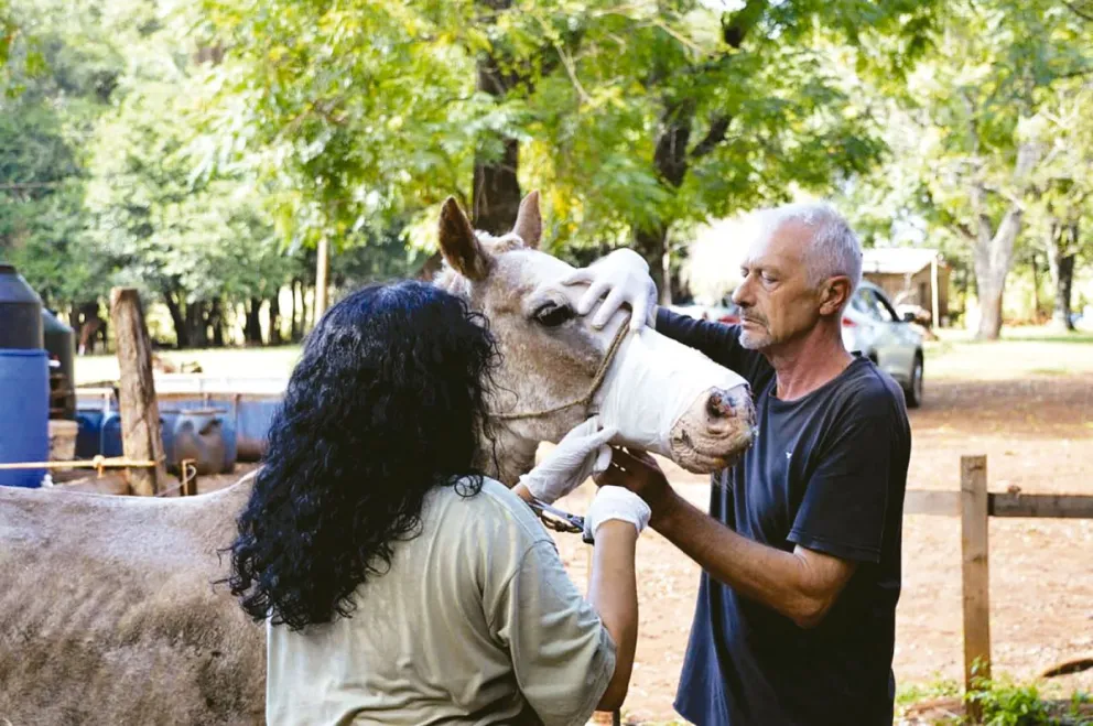 El contraste que sostiene el cruce de misioneros para trabajar en Brasil imagen-8