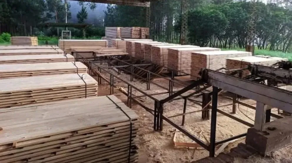 Las madereras se encuentran en uno de los momentos más difíciles.   