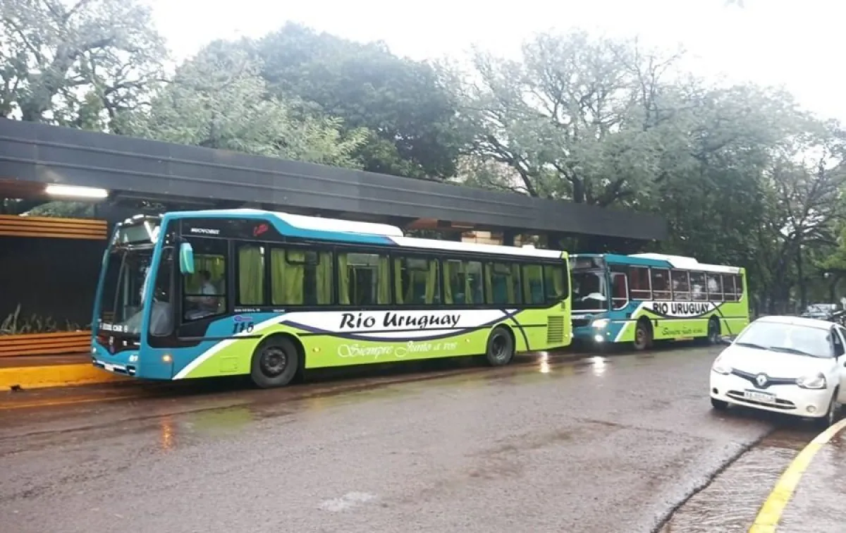 Se restablece este jueves el servicio de colectivos en Apóstoles | El ...
