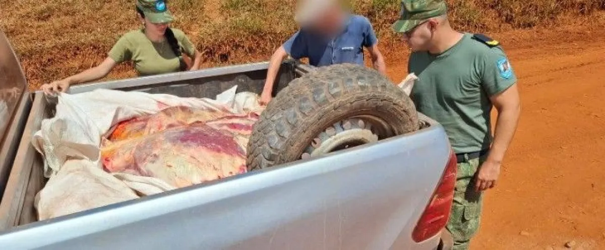 Interceptan camioneta con 800 kilos de carne y descubren que tenía ...