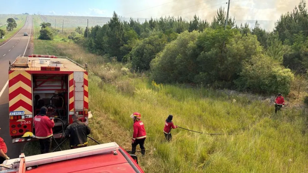 Bomberos trabajan desde hace varias horas.