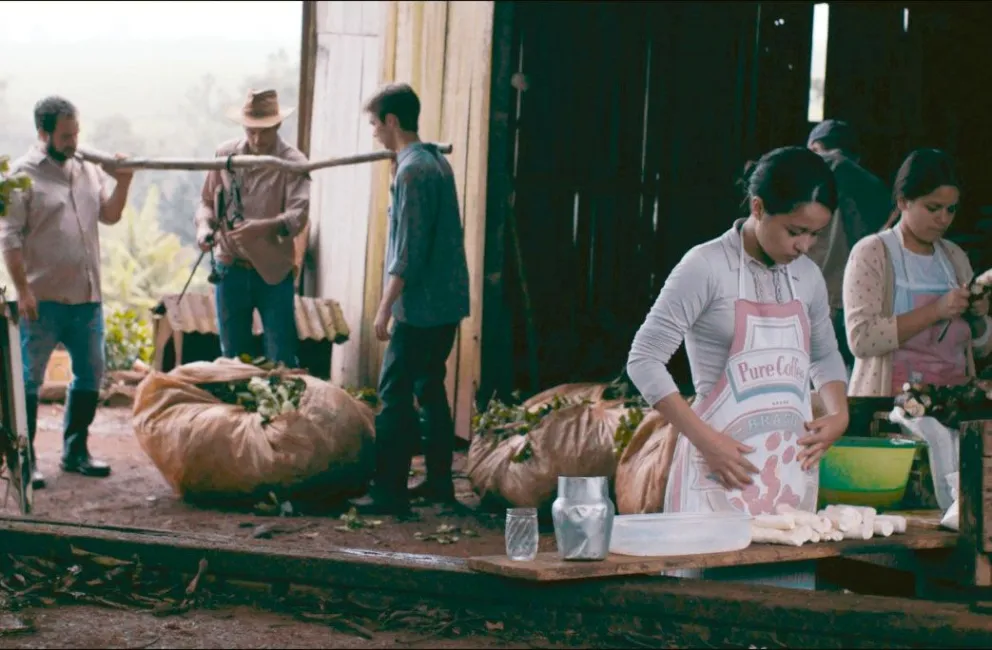 Tuberculosis: casos en Misiones y nuevo abordaje a nivel nacional imagen-11