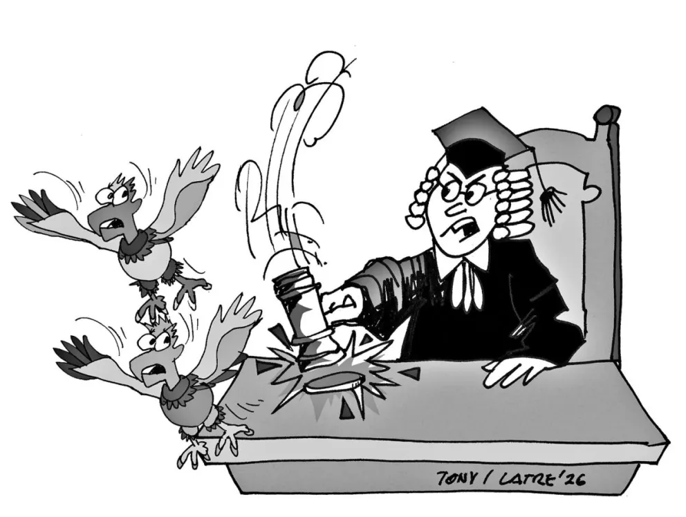 Imagen ilustrativa (Latree).