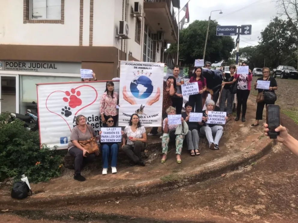 Pintadas amenazantes en colegios de Posadas estarían ligadas a un reto viral imagen-12