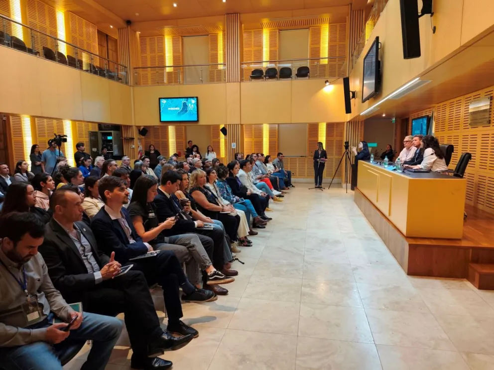 Pintadas amenazantes en colegios de Posadas estarían ligadas a un reto viral imagen-10