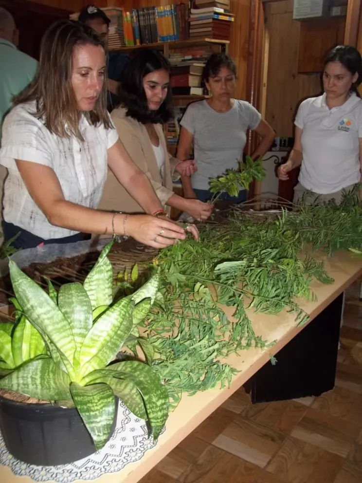 Entregaron plantines nativos en El Alcázar para fortalecer la producción y el turismo sostenible imagen-5