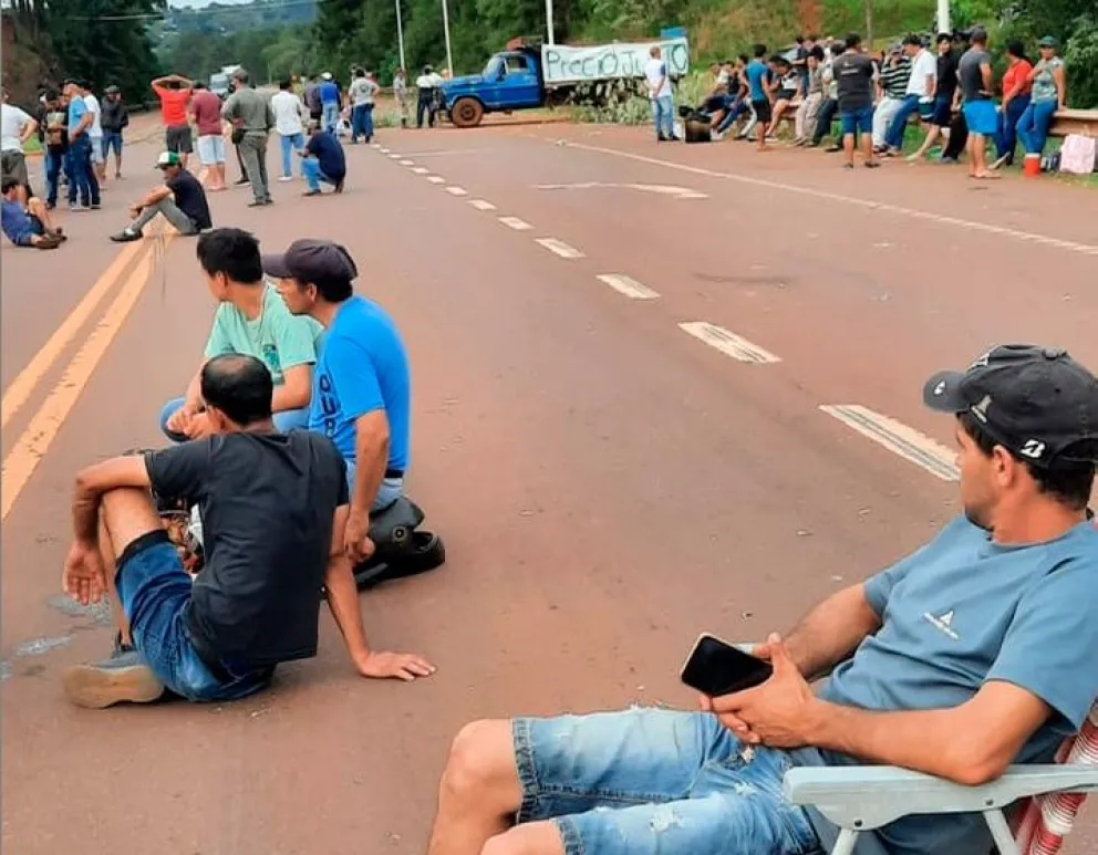 Mandioca con menos IVA: bajo impacto fiscal y ayuda a productores y celíacos imagen-17
