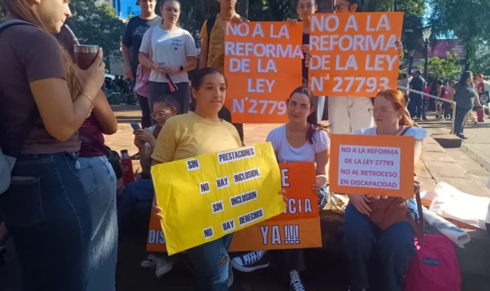 Misiones oficializó régimen de asistencia para centros de discapacidad ante la falta de fondos de Nación imagen-6