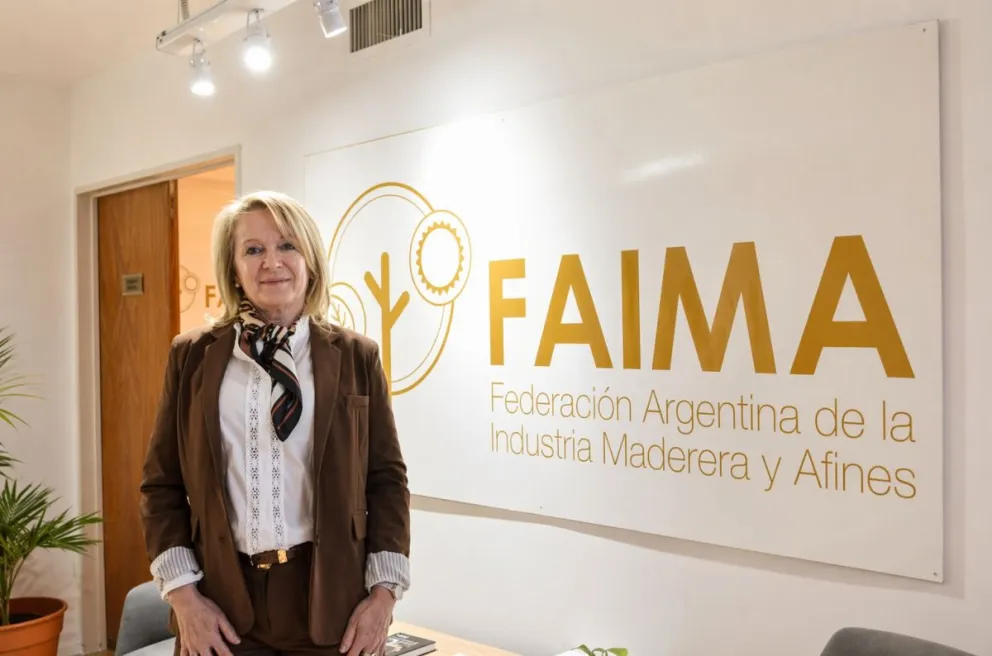 Hay quejas de usuarios de energía eléctrica porque la Ceel cobra intereses por mora imagen-9