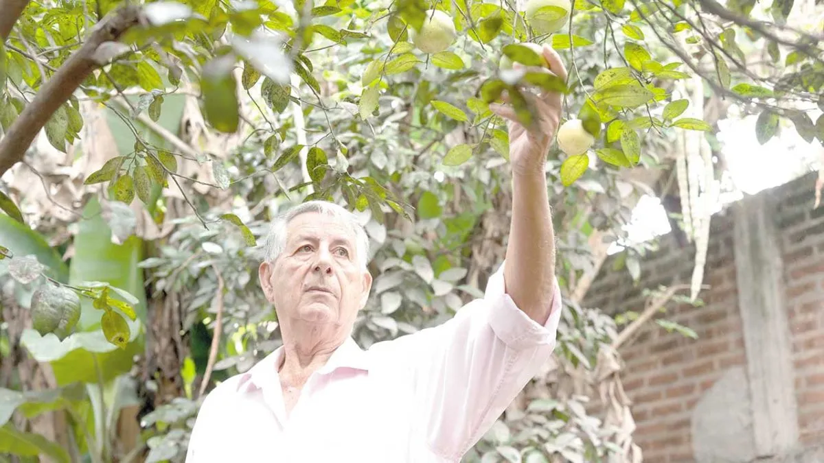 A los 80 años, Antonio terminó la primaria y pudo aprender a leer imagen-8