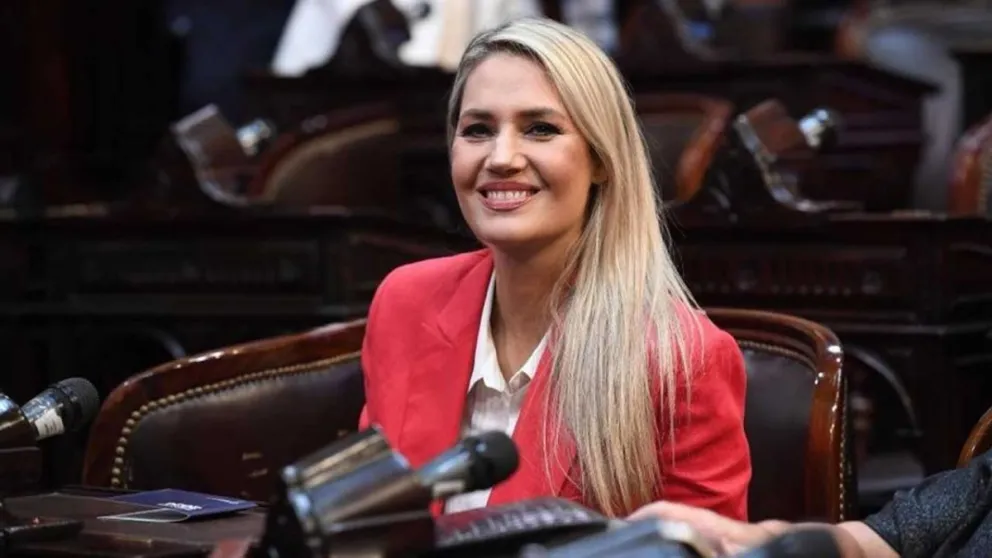 La propuesta de la senadora Losada ya obtuvo dictamen favorable.
