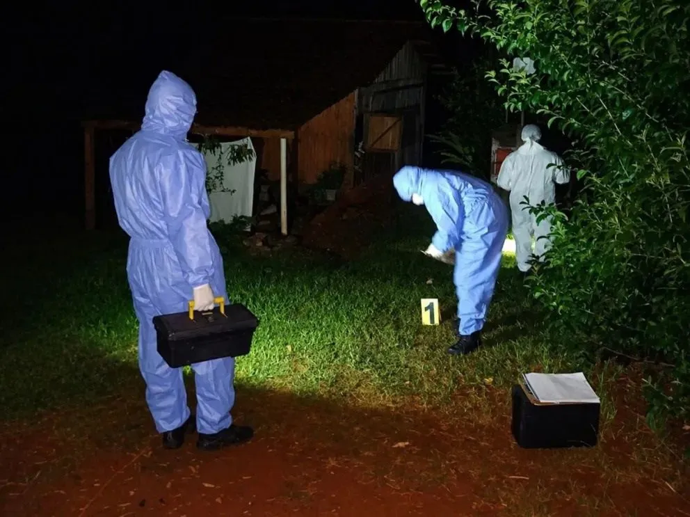 Misiones da un paso histórico con la reforma del Código Procesal Penal imagen-14