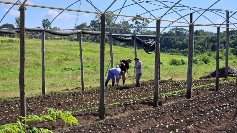 Imagen referencial.