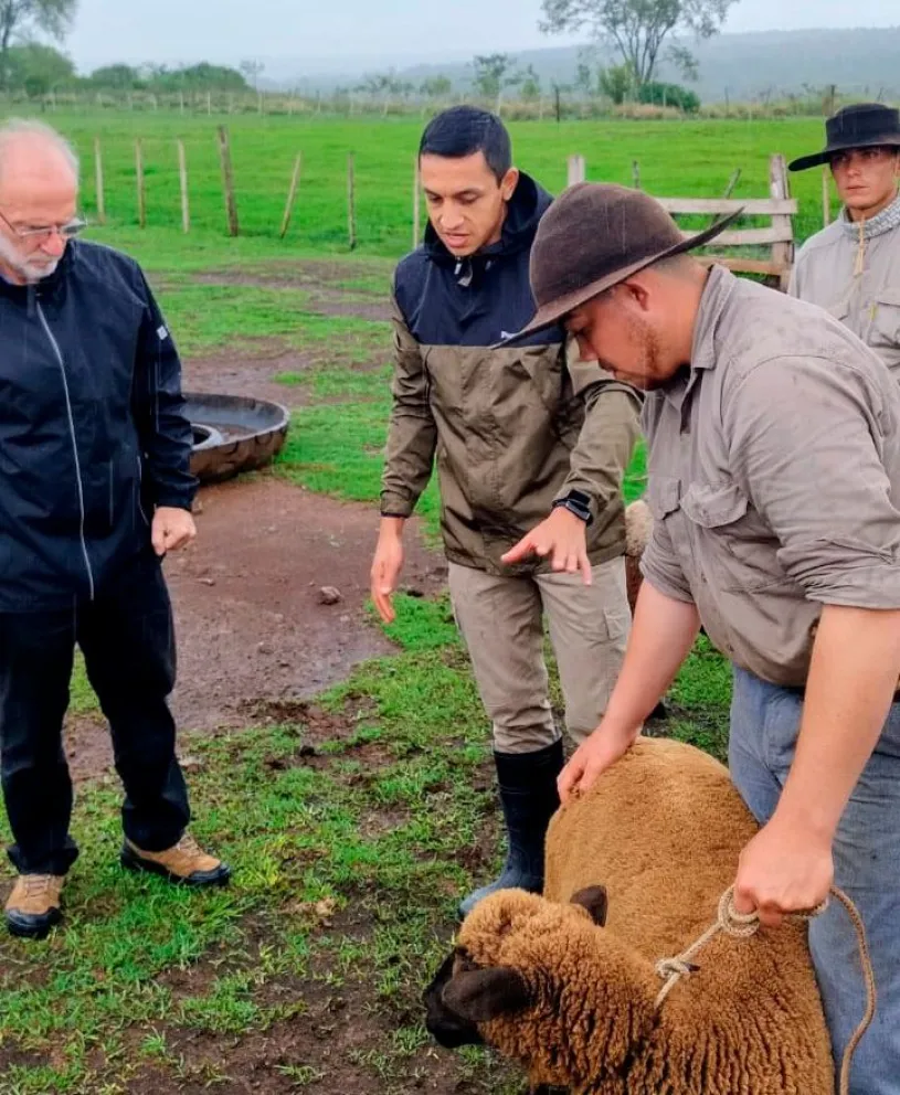 Ricardo Spachuk (izquierda) y Cristian Miño (centro) explicaron las características que se busca en un animal.  
