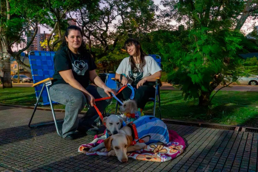 El evento ‘Mascotas en adopción’ reunió a toda la familia en la Costanera posadeña.