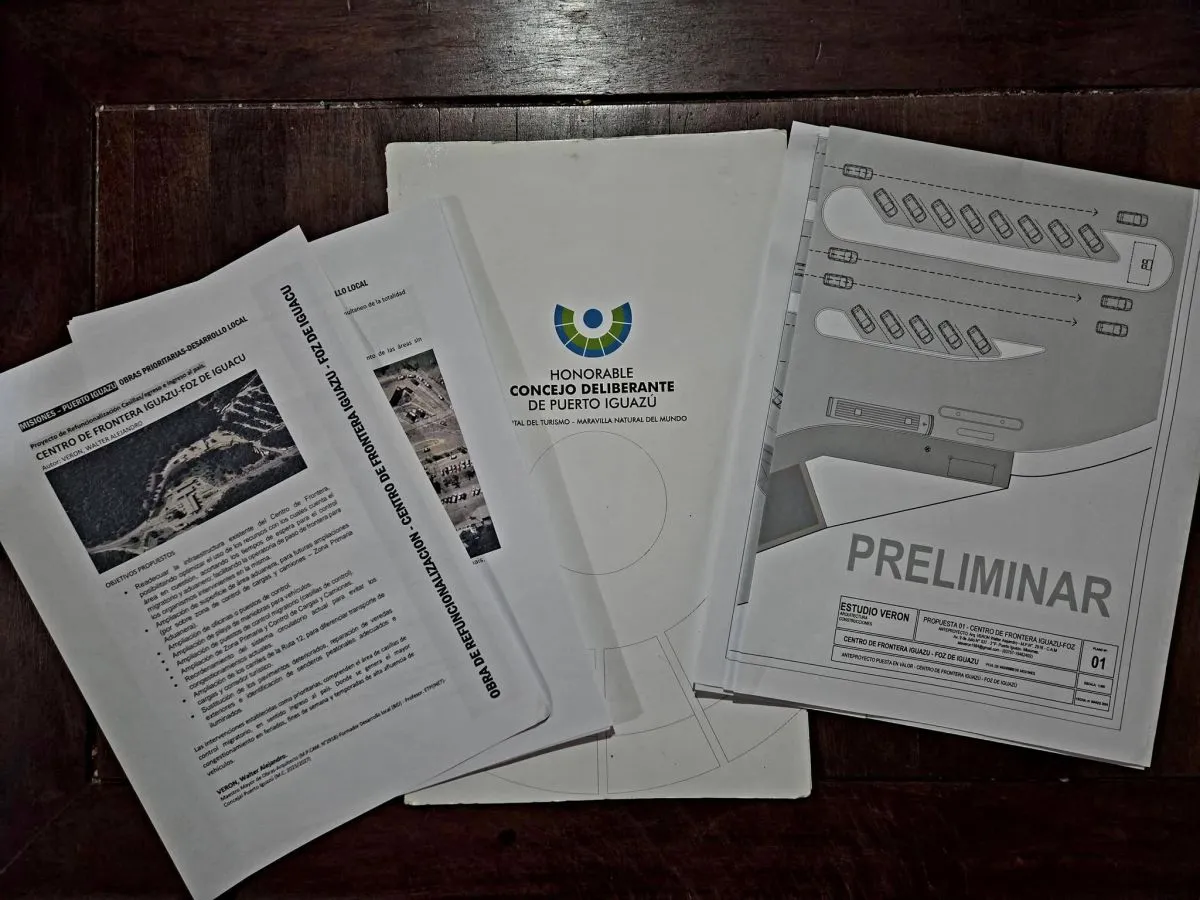 Agilización del centro de frontera en Iguazú, pedido de concejales a la ministra Monteoliva imagen-8