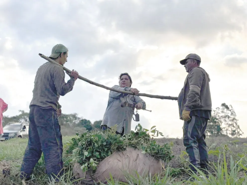 Cortometraje que retrata la vida en la tarefa, la crisis del sector yerbatero y el éxodo obligado de las chacras misioneras.  Fotos: Carina Martínez   