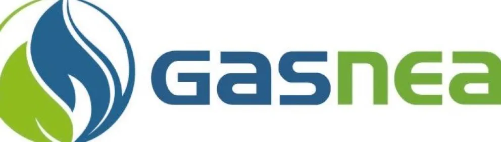 Gas NEA dio a conocer los cuadros tarifarios a partir de mayo imagen-6