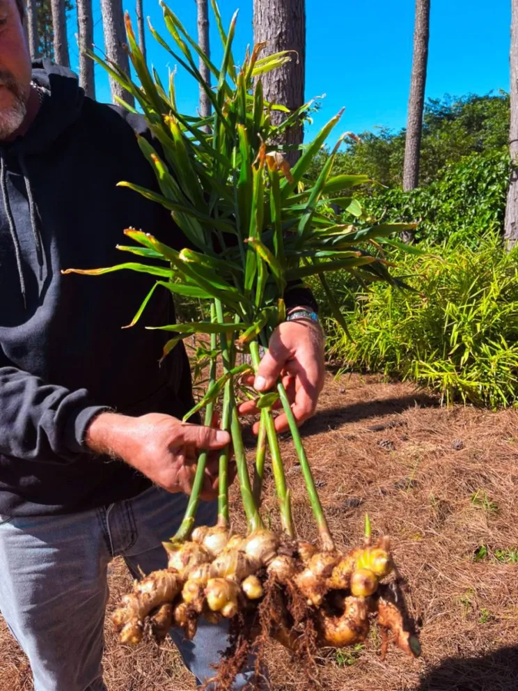 Misiopharma reactivó sus actividades con foco en salud imagen-16