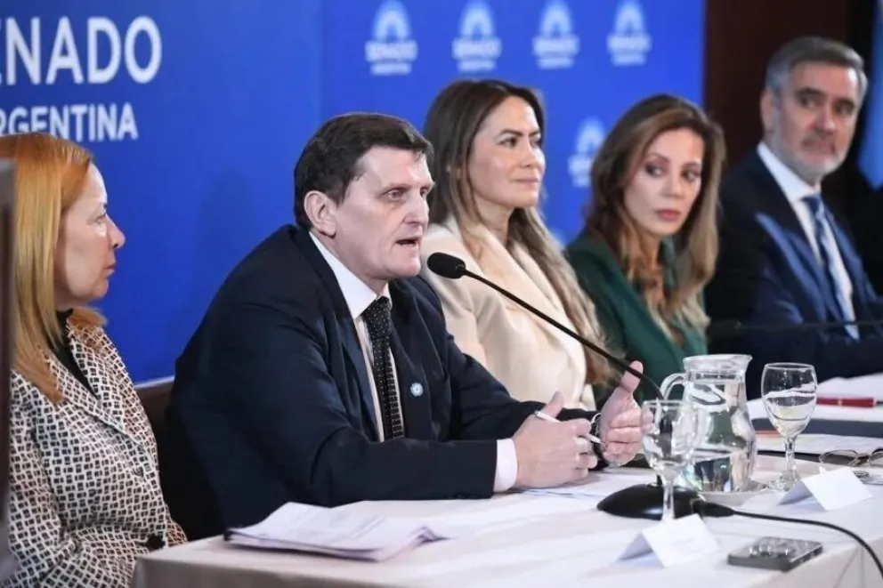 Expusieron en el Senado el caso de Misiones en el mercado de créditos de carbono 6 Expusieron en el Senado el caso de Misiones en el mercado de créditos de carbono imagen-5