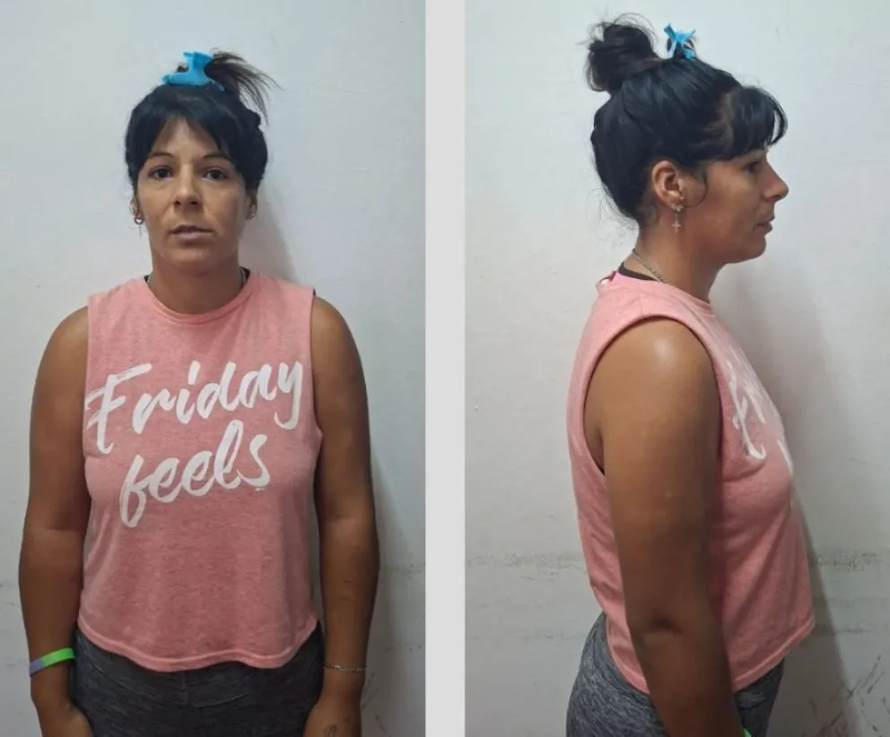 Expusieron en el Senado el caso de Misiones en el mercado de créditos de carbono 10 Expusieron en el Senado el caso de Misiones en el mercado de créditos de carbono imagen-9