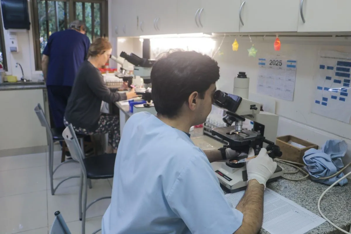 Misiones alcanza estándares internacionales para investigar tratamientos contra el cáncer imagen-6