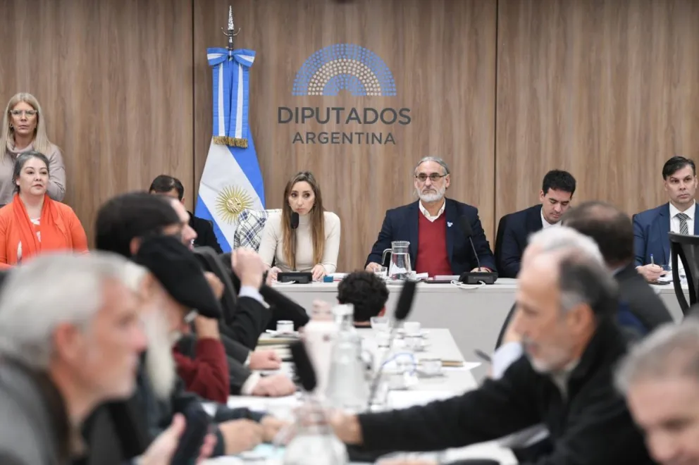 La diputada Strada impulsó la reunión para conocer la realidad del sector yerbatero. 