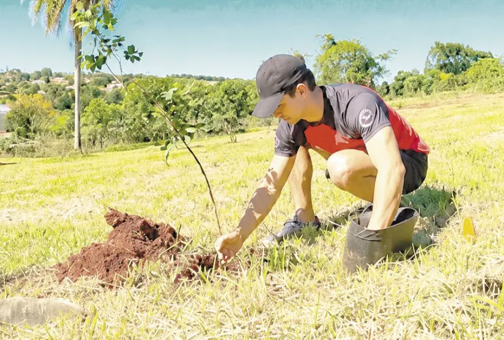 Un joven sanvicentino apuesta a la reforestación con apoyo comunitario imagen-6
