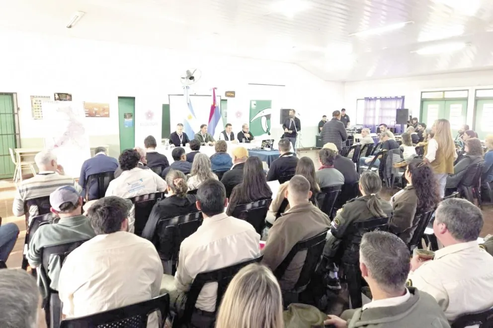 Presentan ambicioso plan de restauración forestal para San Pedro imagen-6
