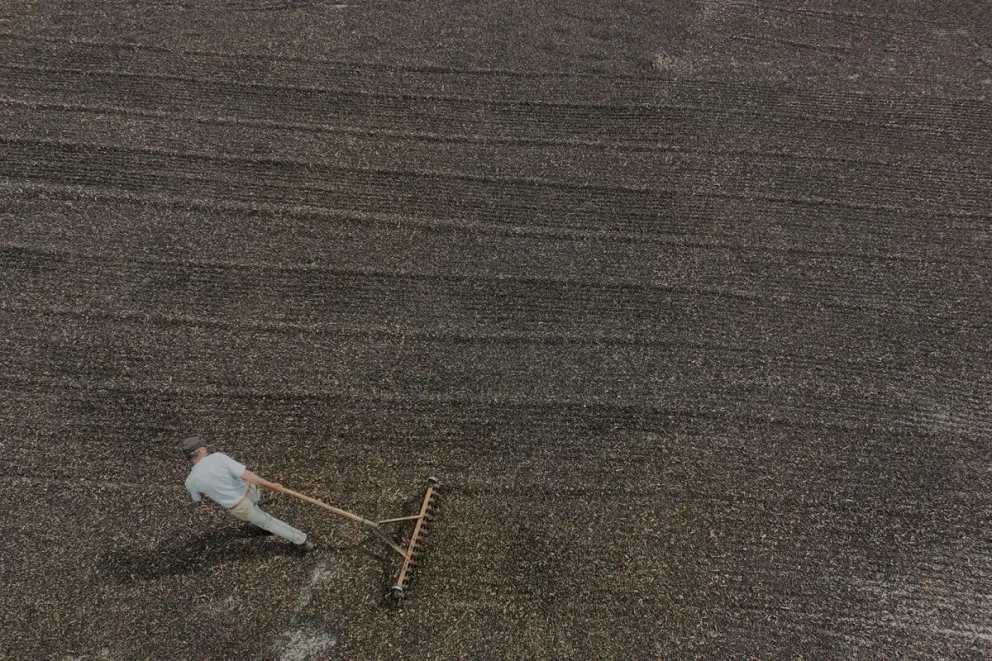Un productor brasileño preparando la tierra para sembrar café.