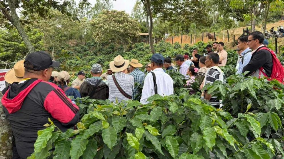Productores cafeteros asisten a una capacitación en un cafetal en Antioquia.  Foto: Comité de Cafeteros de Antioquia