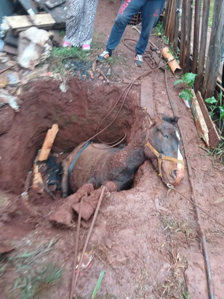 Foto: Policía de Misiones 