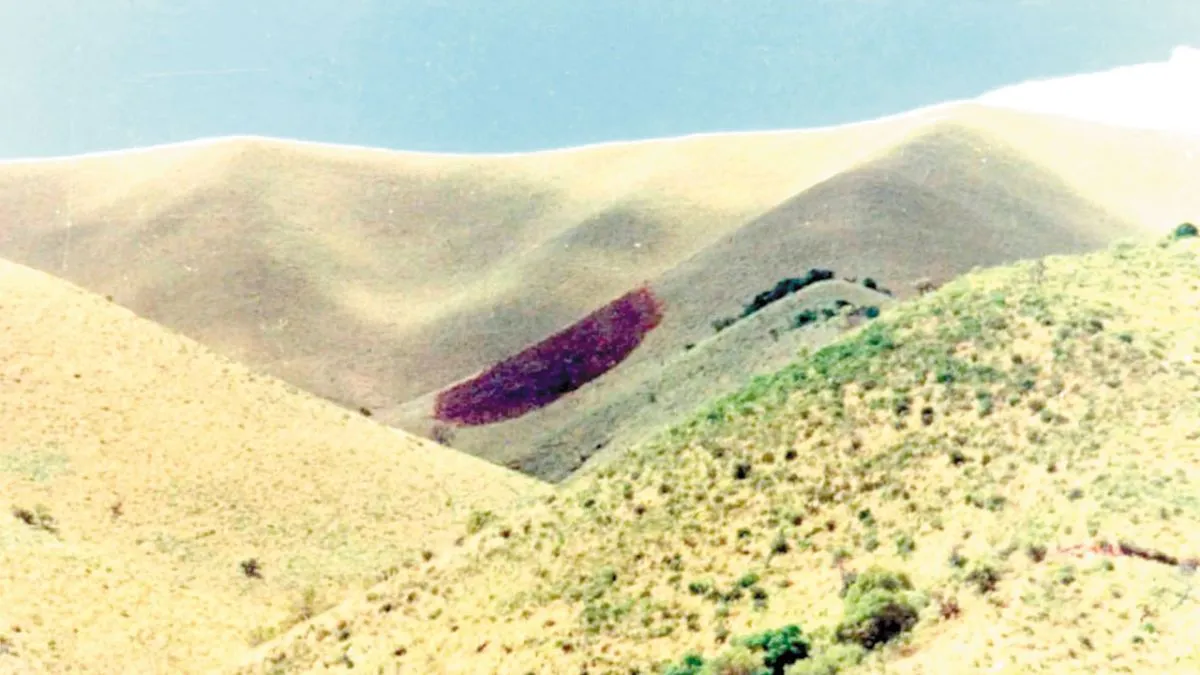 Cerro El Pajarillo