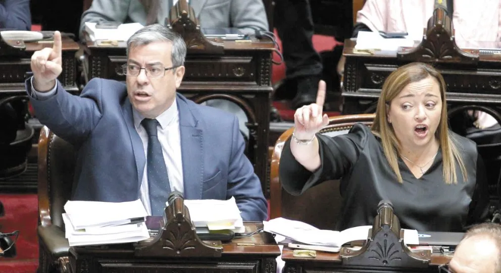 Diputados opositores quieren marcas diferencias con el gobierno.  