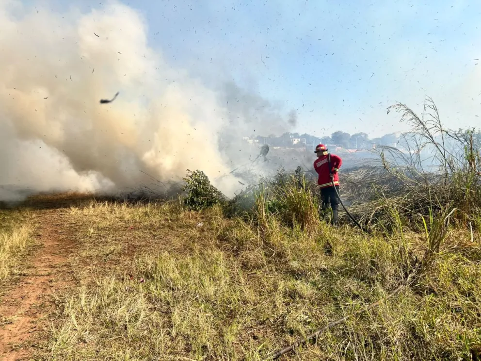 Fotos: Policía de Misiones 